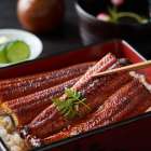 季節ごとのオススメの食事